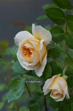 20130426_006.jpg