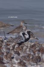 20130428_022.jpg