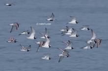 20130428_183.jpg