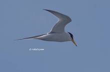 20130429_135.jpg