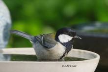 20130508_006.jpg