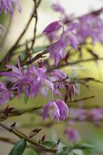 20130509_028.jpg