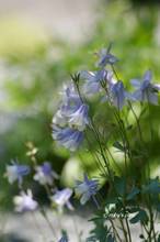 20130514_028.jpg
