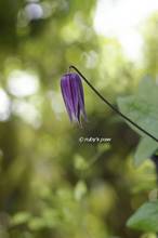 20130515_005.jpg