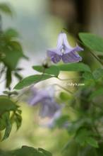 20130515_024.jpg
