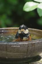 20130516_004.jpg