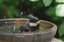20130516_010.jpg