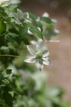 20130516_013.jpg