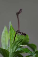 20130601_047.jpg