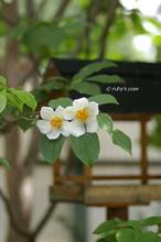 20130607_021.jpg