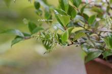 20130607_025.jpg