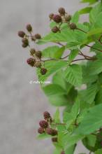 20130613_016.jpg