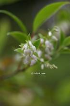 20130613_036.jpg