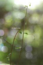 20130614_002.jpg