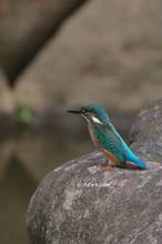 20130615_051.jpg