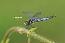20130615_110.jpg