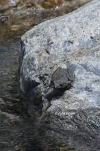 20130616_188.jpg