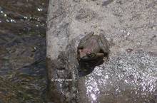 20130616_192.jpg