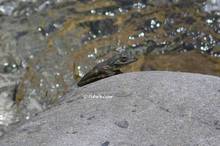 20130616_199.jpg