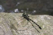 20130616_208.jpg