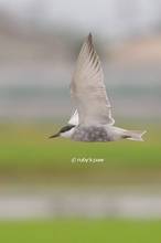 20130619_159.jpg