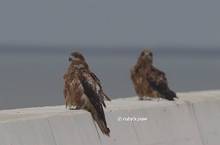20130704_051.jpg