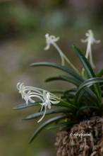 20130705_048.jpg