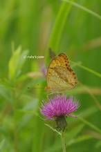 20130706_031.jpg
