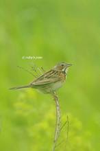 20130706_066.jpg