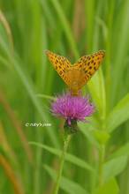 20130706_069.jpg
