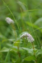 20130706_111.jpg