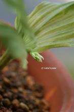 20130711_009.jpg