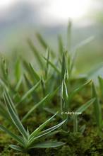 20130711_011.jpg