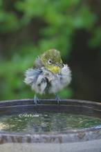 20130711_022.jpg