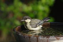 20130711_133.jpg