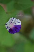 20130721_004.jpg