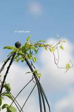 20130721_019.jpg