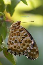 20130725_013.jpg