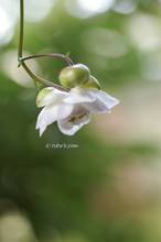 201308014_017.jpg