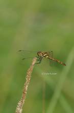 20130803_008.jpg
