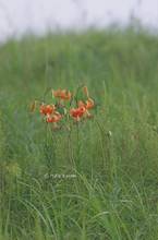 20130803_011.jpg
