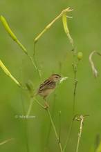 20130803_135.jpg