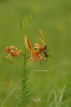20130803_170.jpg