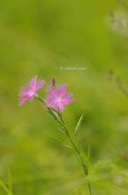 20130803_238.jpg
