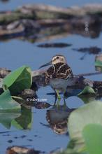 20130827_162.jpg