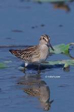 20130827_384.jpg