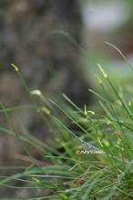 20130829_005.jpg