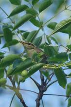 20130907_017.jpg