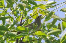 20130907_047.jpg