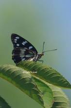 20130907_070.jpg